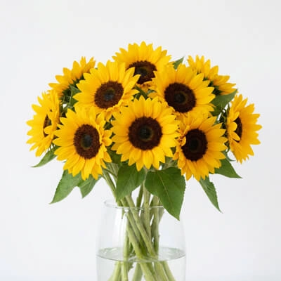 4. Sunflowers